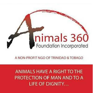 Animals 360 Foundation